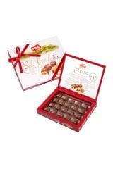 SÜTLÜ YER FISTIKLI 160 GR BOLU ÇİKOLATASI (BORDO)