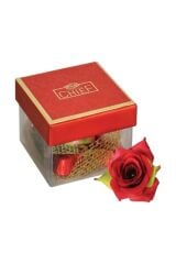 Küp Sargılı Special Çikolata 60 Gr