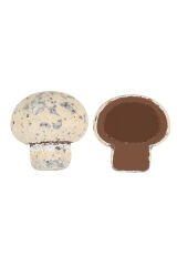 MİNİ MANTAR DRAJE PRALİN DOLGULU 500 gr